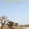 Afriques. Architectures, infrastructures et territoires en devenir, Dominique Rouillard