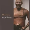 After Tears, Niq Mhlongo