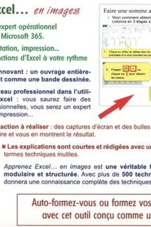 Apprenez Excel en images. Devenez un expert opérationnel sur Excel Microsoft 365., Yul Pham Duy