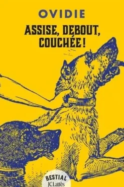 Assise, debout, couchée !, Ovidie
