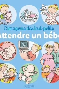 Attendre un bébé, Nathalie Bélineau