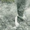 Bambois la vie verte, Claudie Hunzinger