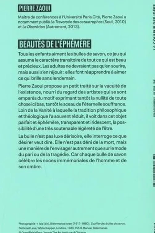 Beautés de l'éphémère. Apologie des bulles de savon, Pierre Zaoui
