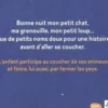 Bonne nuit mon petit chat !, Georgette