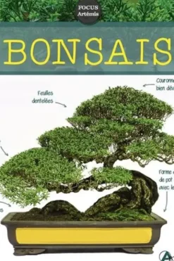 Bonsaïs, Isabelle Calmets
