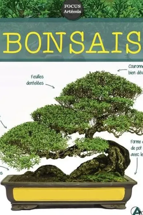 Bonsaïs, Isabelle Calmets