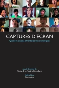 Captures d'écran. Quand le cinéma affronte les flux numériques, Nicolas Bras