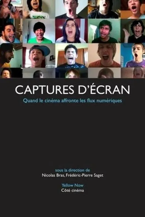 Captures d'écran. Quand le cinéma affronte les flux numériques, Nicolas Bras