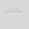 Ce que dit le nuage, Enza Palamara