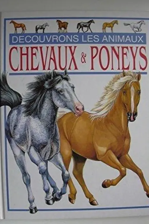 Chevaux & poneys, Lucia Ceccaldi