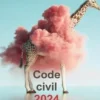 Code civil. Edition 2024, Laurent Leveneur