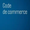 Code de commerce. Edition 2024, Philippe Pétel