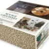 Coffret Noyaux & boutures. Le livre-guide avec 1 vase en verre et 1 coupelle en laiton, Tiphaine Germain-Lacour