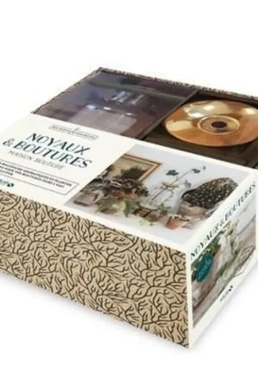 Coffret Noyaux & boutures. Le livre-guide avec 1 vase en verre et 1 coupelle en laiton, Tiphaine Germain-Lacour