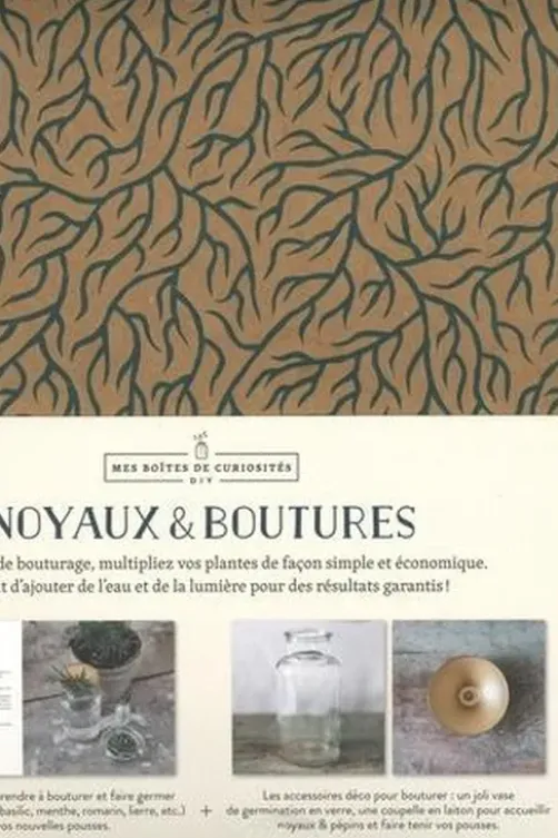 Coffret Noyaux & boutures. Le livre-guide avec 1 vase en verre et 1 coupelle en laiton, Tiphaine Germain-Lacour