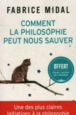 Comment la philosophie peut nous sauver, Fabrice Midal