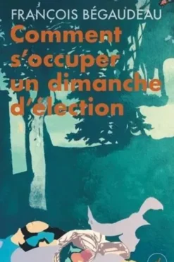 Comment s'occuper un dimanche d’élection, François Bégaudeau