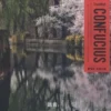 Confucius n°42, Collectif