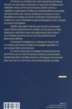 Critique de la déraison antisémite. Un enjeu de civilisation, un combat pour la paix, Daniel Salvatore Schiffer