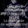 Culture de plantes méridionales selon la méthode de Mitchourine, Weronika Murek