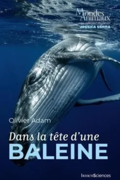 Dans la tête d'une baleine, Olivier Adam