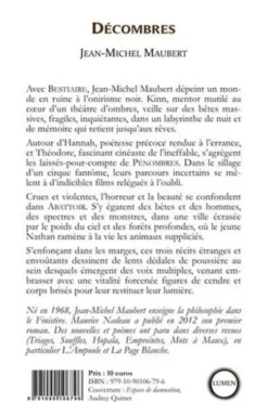 Décombres, Jean-Michel Maubert