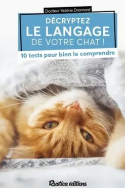 Décryptez le langage de votre chat ! 10 tests pour bien le comprendre, Valérie Dramard