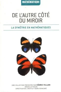 De l'autre côté du miroir : La symétrie en mathématiques, Joaquin Navarro