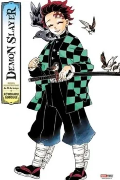 Demon Slayer. Au fil du temps, recueil d'illustrations, Koyoharu Gotouge