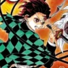 Demon Slayer Tome 23 . Edition collector, Koyoharu Gotouge