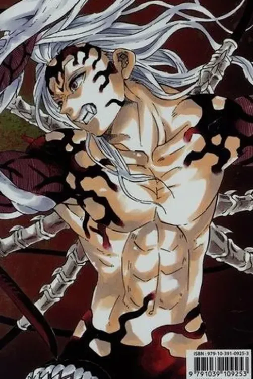 Demon Slayer Tome 23 . Edition collector, Koyoharu Gotouge