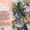 Des fleurs et des pollinisateurs plein mon jardin. Accueillir, observer, comprendre, protéger, Sylvie La Spina