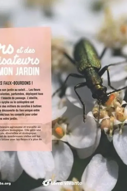 Des fleurs et des pollinisateurs plein mon jardin. Accueillir, observer, comprendre, protéger, Sylvie La Spina