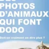 Des photos d'animaux qui font dodo. Doit-on vraiment en dire plus ?, Hachette Pratique