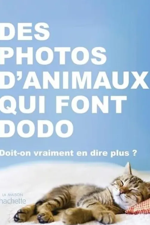 Des photos d'animaux qui font dodo. Doit-on vraiment en dire plus ?, Hachette Pratique