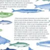 Des poissons plein la tête. Mon dictionnaire de la pêche, Thierry Karpiel