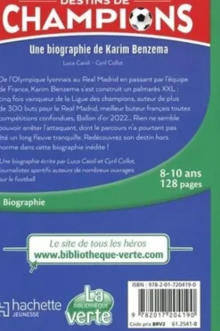 Destins de champions Tome 4 : Une biographie de Karim Benzema. Le survivant, Luca Caioli