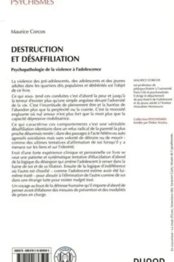 Destruction et désaffiliation. Psychopathologie de la violence adolescente, Maurice Corcos
