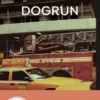 Dogrun, Arthur Nersesian