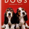 Dogs. Edition français-anglais-allemand, Raymond Merritt