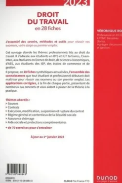 Droit du travail en 28 fiches. Edition 2023, Véronique Roy