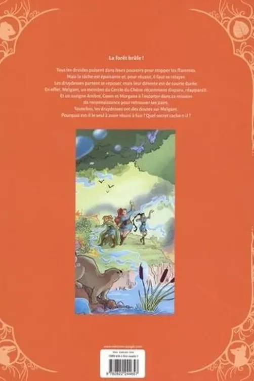 Druydesses Tome 2 : Les guerrières de l'été, Fabien Fernandez