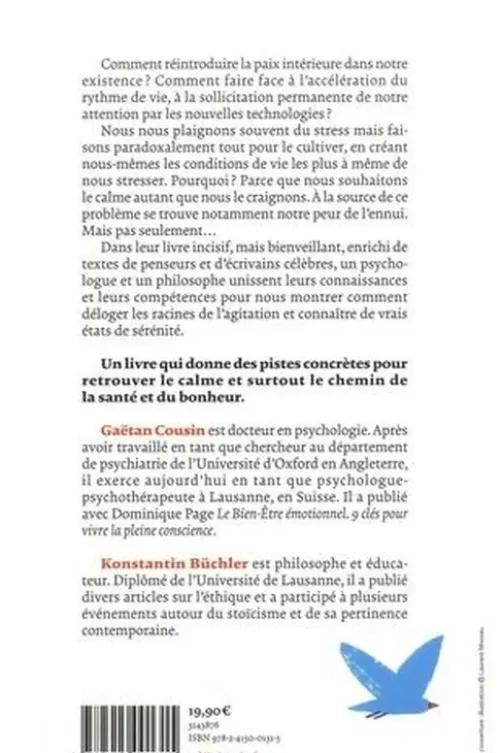 Du calme ! Comment lutter contre l'agitation intérieure, Gaëtan Cousin