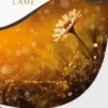 Echos de l’âme, Marc Benredjem