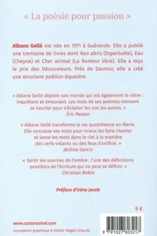 Equilibriste de passage, Albane Gellé