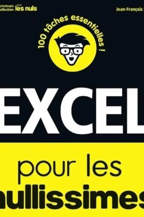Excel pour les nullissimes, Jean-François Sehan
