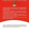 100 fiches de lecture en économie, sociologie, histoire et géographie économiques. 3e édition, Marc Montoussé