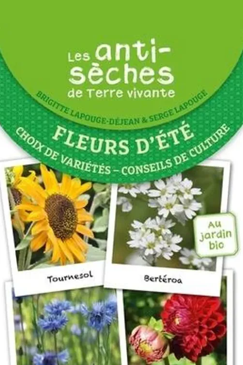 Fleurs d'été. Choix de variétés, conseils de culture, Brigitte Lapouge-Déjean
