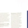 France : graphic design aujourd'hui, Nuinui