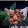 Garden Lab N° 7, été 2019 : Le jardin comestible, Cécile Christophe